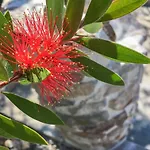 Villa Ihome Skála Kallirákhis