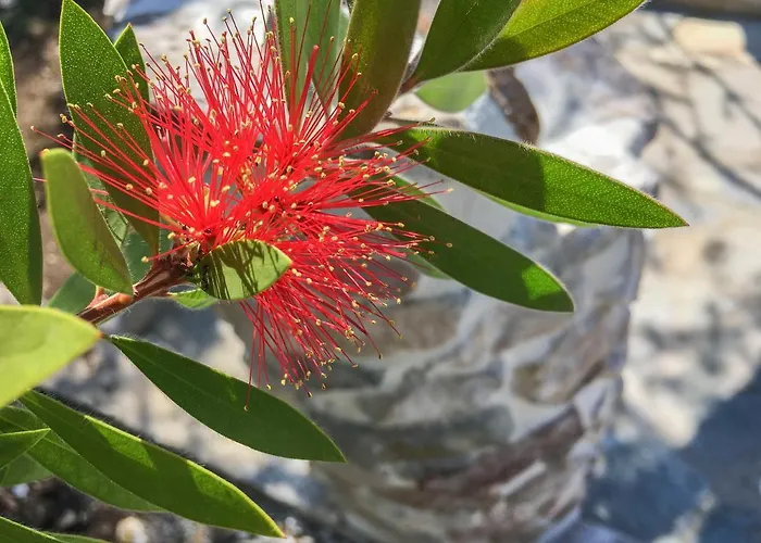 Vila Ihome Skála Kallirákhis